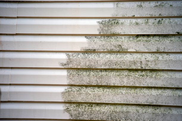 Best Basement Cleanout  in Athena, OR